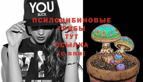 стафф Алексин