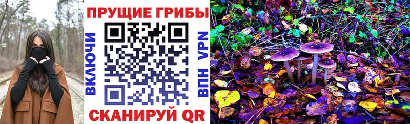 Галлюциногенные грибы ЛСД  Трёхгорный 